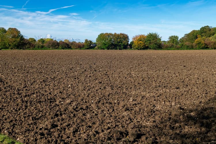Grondontsmettingen verplicht te melden via begassingsdatabank