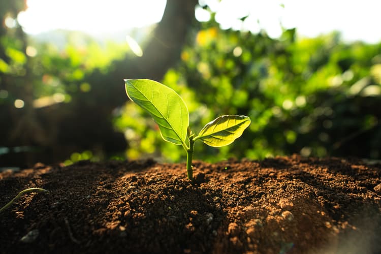 Webinars en documenten rond klimaatverandering