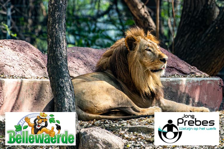 Jong Prebes W.Vl: Van werkvloer met FOD WASO tot Wildpark Bellewaerde